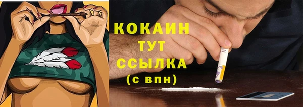 соль ск Бородино