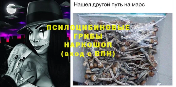 соль ск Бородино