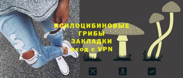 соль ск Бородино