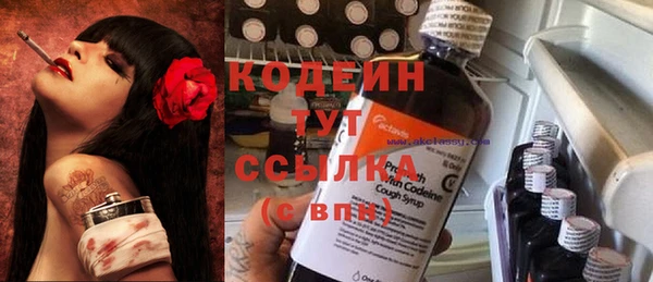 соль ск Бородино