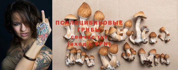 а пвп мука Бронницы