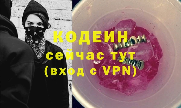 соль ск Бородино